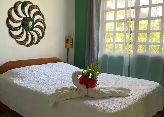 Cabinas El Colibri, Hotel
